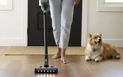 Cleaning on a Budget: How to Choose an Inexpensive Vacuum Cleaner